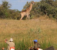 Canoe Safari